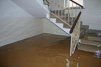Water Damage Services of Plano image 7